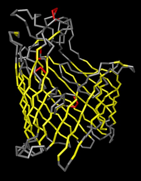 Maltoporin colored by secondary structure (1mal)