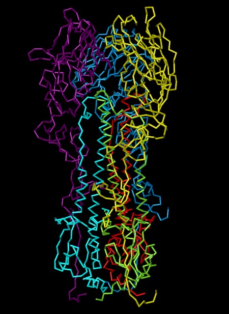 Hemaglutinin colored by chains (5hmg)