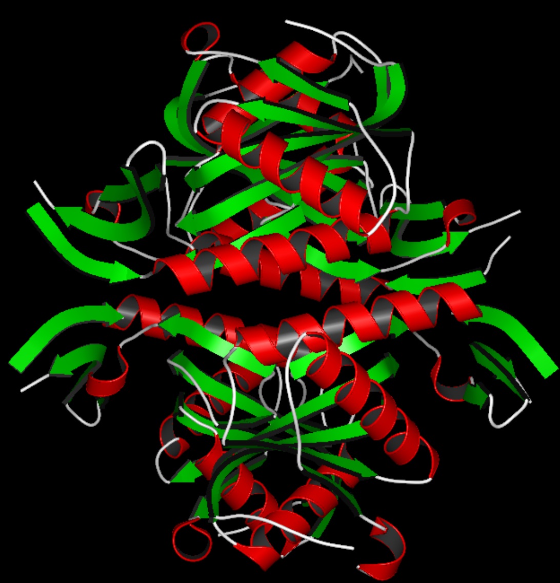 Ribbons and secondary structures (1non)