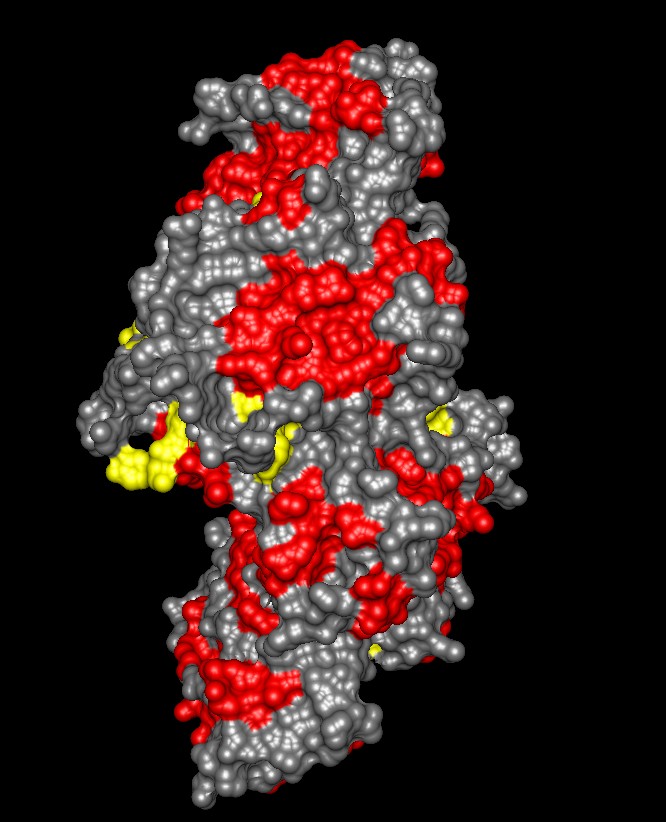 Colored by secondary structures (1azt)