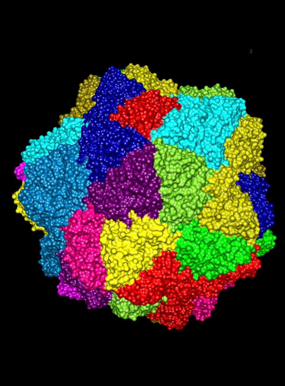 Viral capsid (2buk)